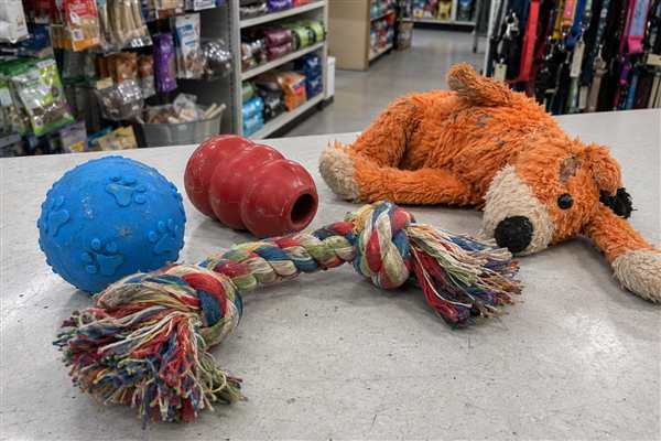 Pelotas, mordedores, cuerdas y peluches para perros